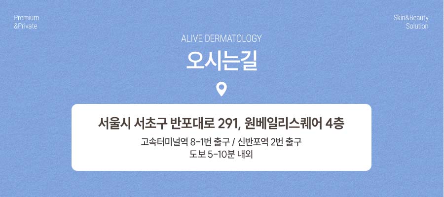 고속터미널역스킨바이브, 제대로 경험하려면 사진 10