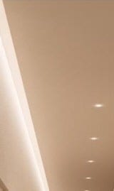 서초백반증, 제대로 파악한 후 관리해야 사진 15