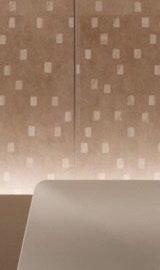 서초백반증, 제대로 파악한 후 관리해야 사진 28