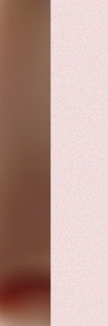 굳은살인 줄 알았는데… 고속터미널역사마귀 의심해야 하는 이유 사진 23