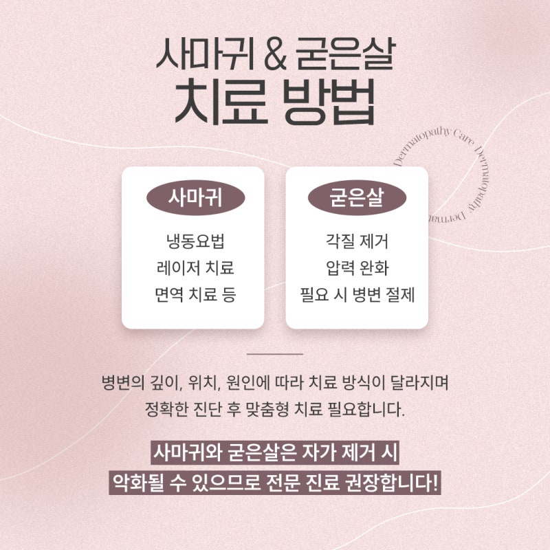 굳은살인 줄 알았는데… 고속터미널역사마귀 의심해야 하는 이유 사진 5