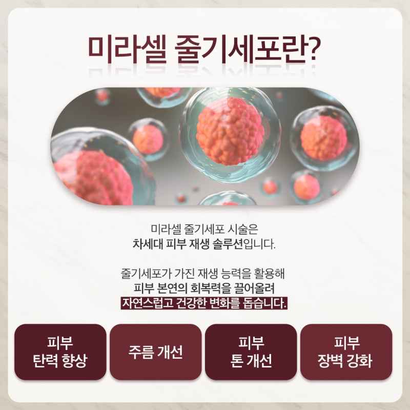 피부의 근본을 바꾸다. 반포미라셀줄기세포