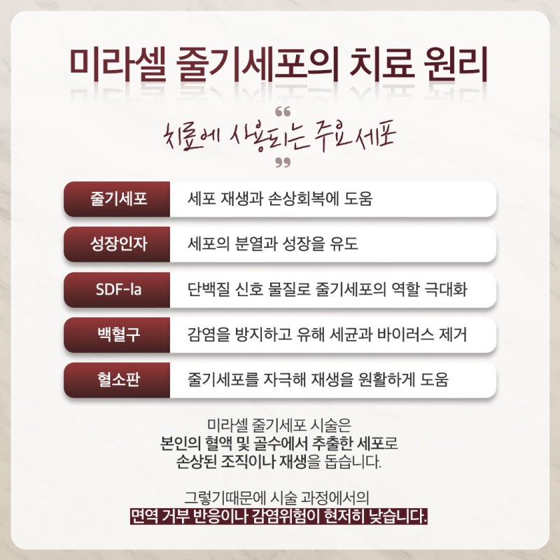피부의 근본을 바꾸다. 반포미라셀줄기세포 사진 4