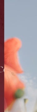 피부의 근본을 바꾸다. 반포미라셀줄기세포 사진 19