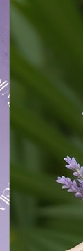 서초 줄기세포, 피부 재생의 근본적인 방법 사진 19