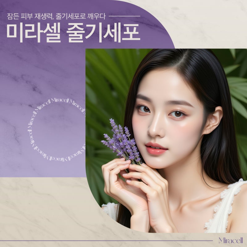 서초 줄기세포, 피부 재생의 근본적인 방법