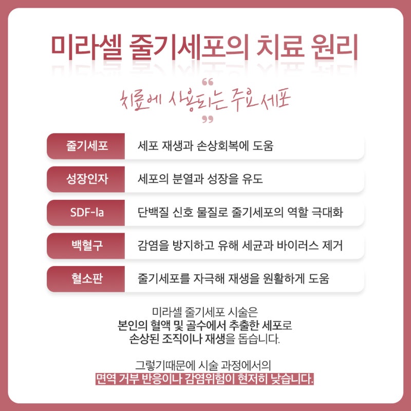 반포역줄기세포의 숨겨진 능력 사진 4