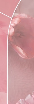 반포역줄기세포의 숨겨진 능력 사진 18