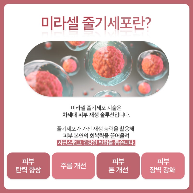 반포역줄기세포의 숨겨진 능력