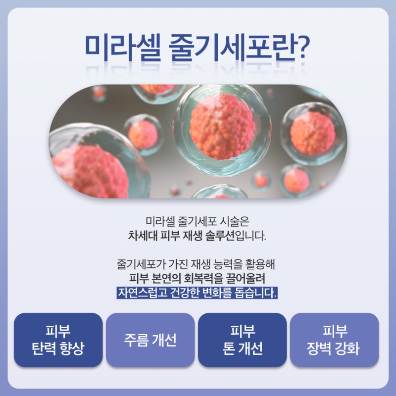 용산줄기세포, 탄력있는 얼굴의 비밀