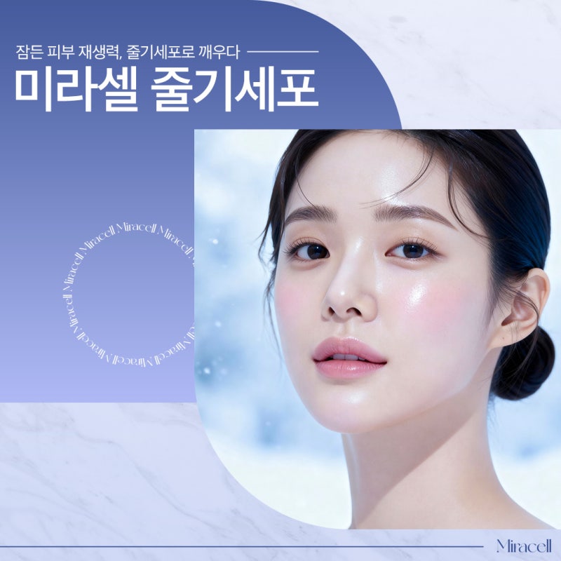 용산줄기세포, 탄력있는 얼굴의 비밀 사진 2
