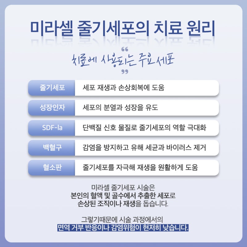 용산줄기세포, 탄력있는 얼굴의 비밀 사진 4