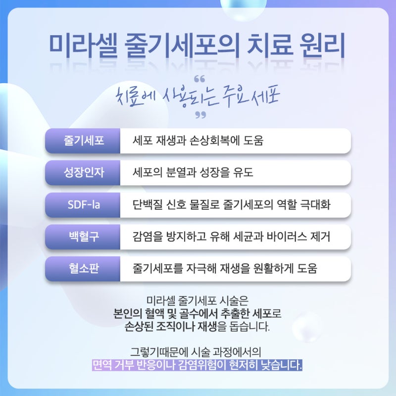고속터미널줄기세포, 근본적인 안티에이징의 시작 사진 4