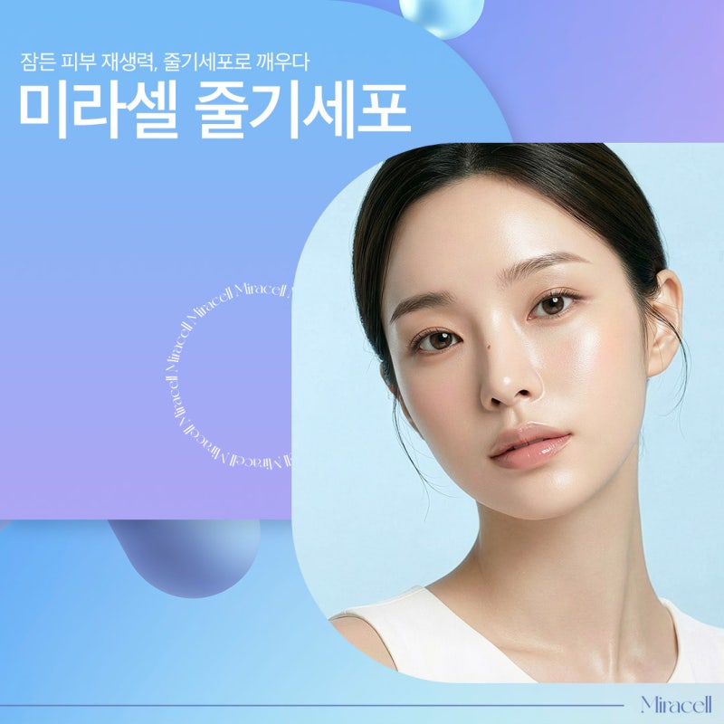 고속터미널줄기세포, 근본적인 안티에이징의 시작 사진 2