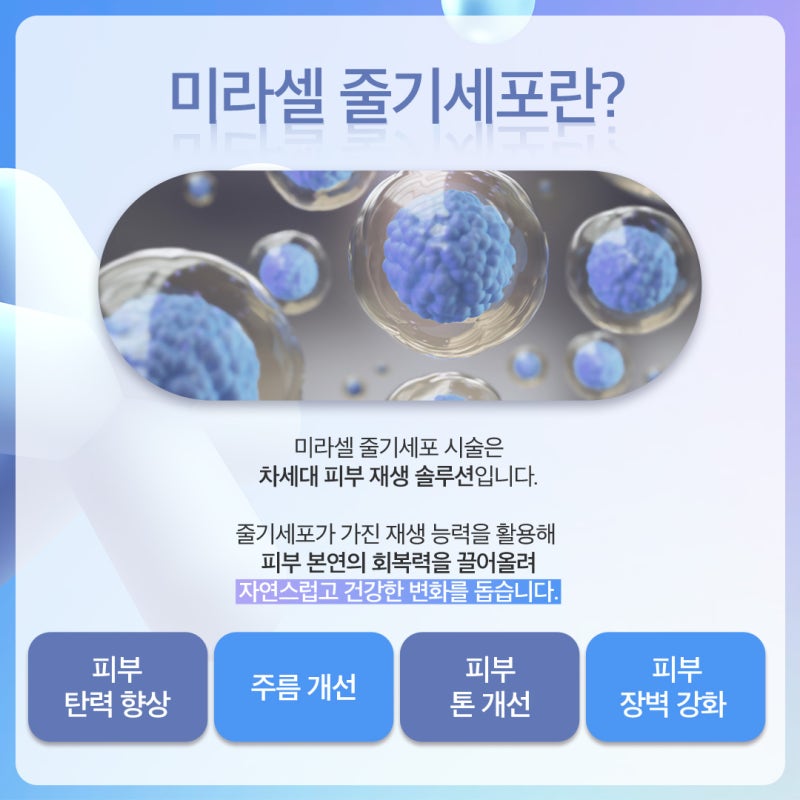 고속터미널줄기세포, 근본적인 안티에이징의 시작