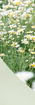 고속터미널역리프팅, 자연스럽게 탄력을 되찾는 비밀 사진 26