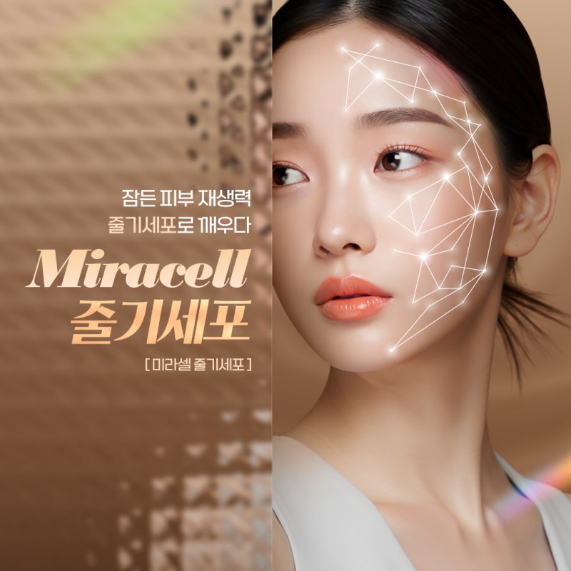 피부 속부터 채우는 방배줄기세포 원리와 특징 정리 사진 2