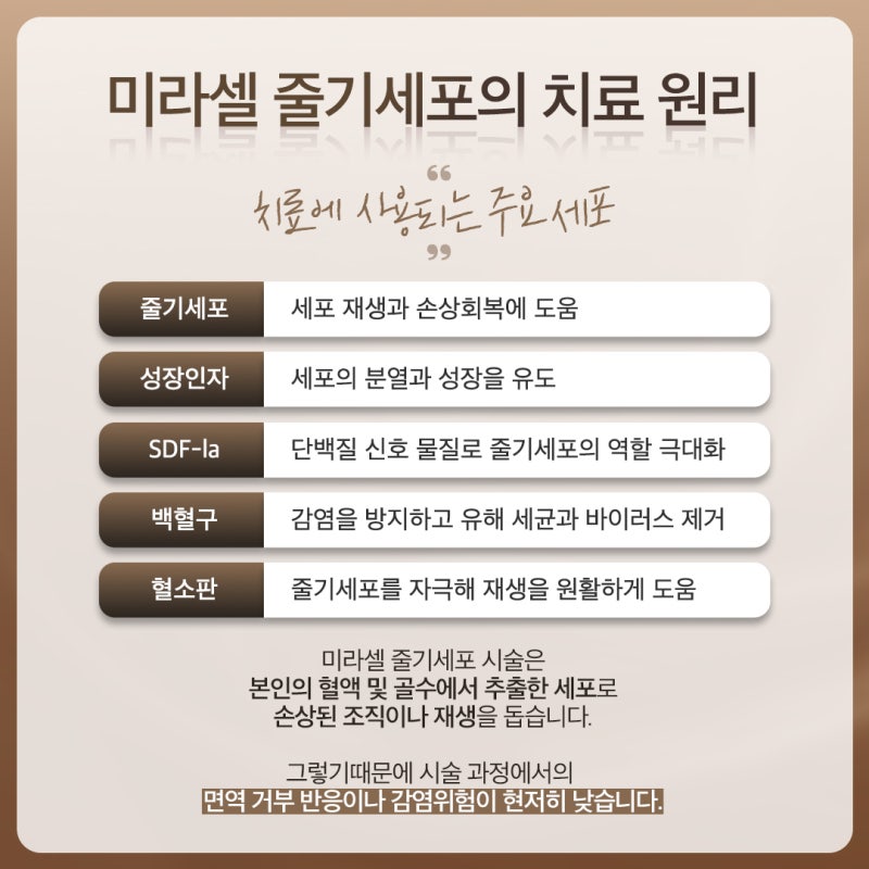 피부 속부터 채우는 방배줄기세포 원리와 특징 정리 사진 4
