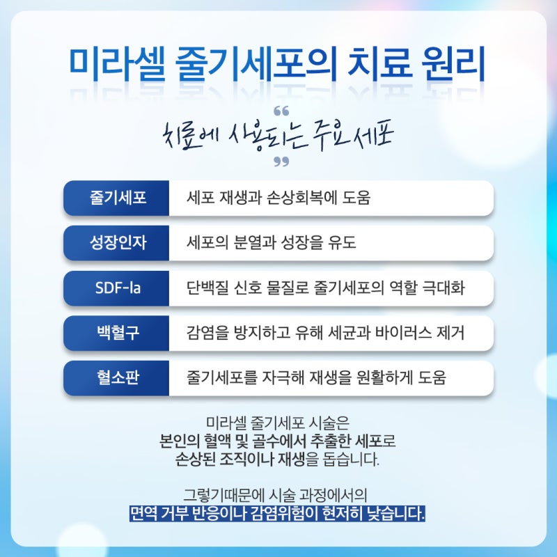 신반포역줄기세포가 요즘 주목 받는 이유 사진 4