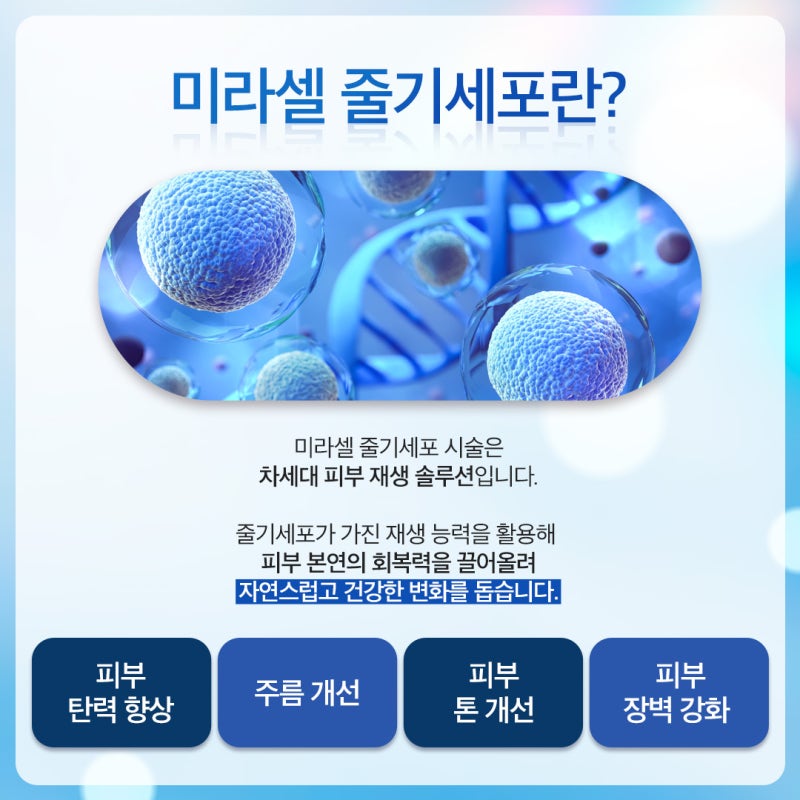 신반포역줄기세포가 요즘 주목 받는 이유