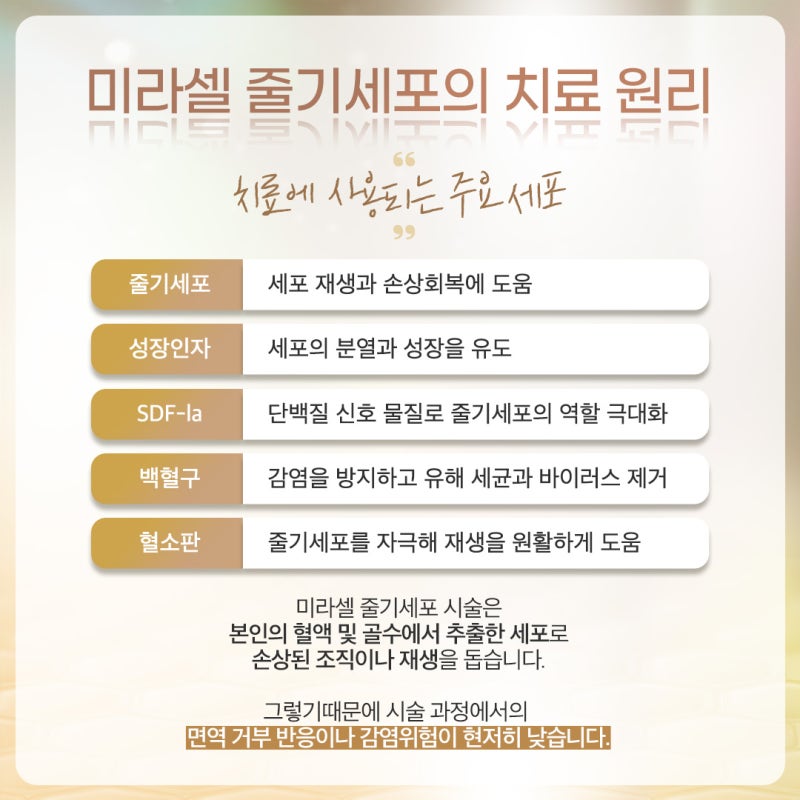 반포줄기세포, 개별 피부 상태를 고려한 안전한 탄력 케어법 사진 4