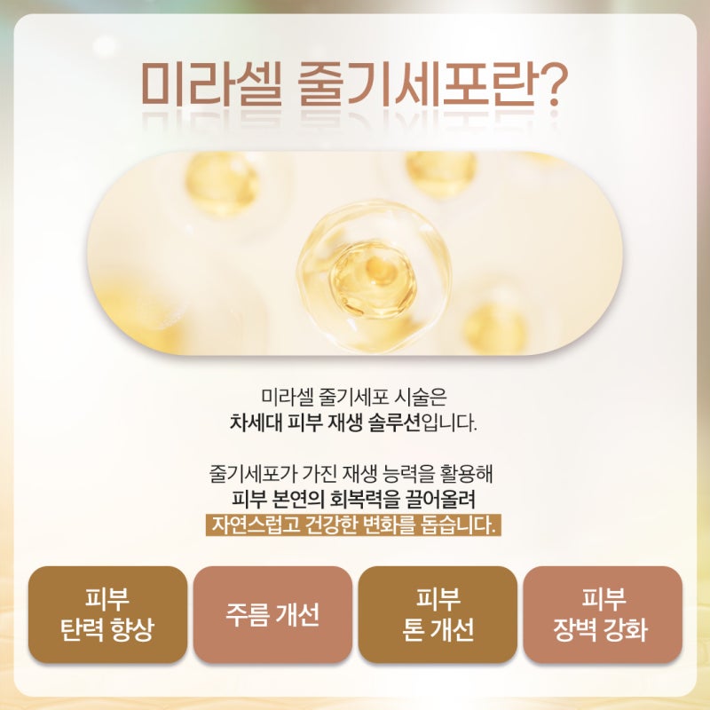 반포줄기세포, 개별 피부 상태를 고려한 안전한 탄력 케어법