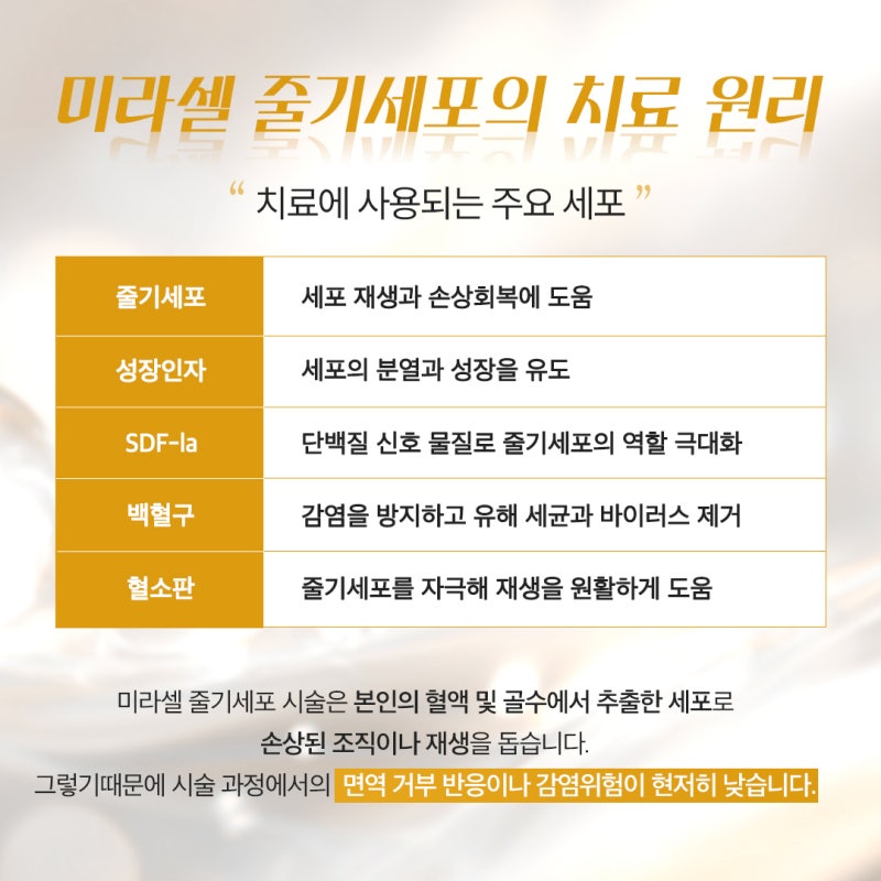 고속터미널역 줄기세포, 시술 전 꼭 확인해야 할 4가지 총정리! 사진 4