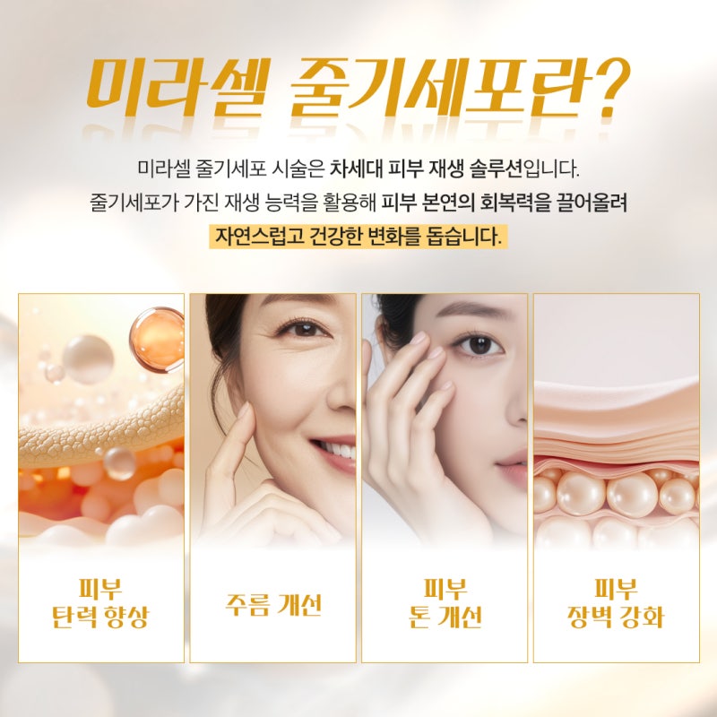 고속터미널역 줄기세포, 시술 전 꼭 확인해야 할 4가지 총정리!